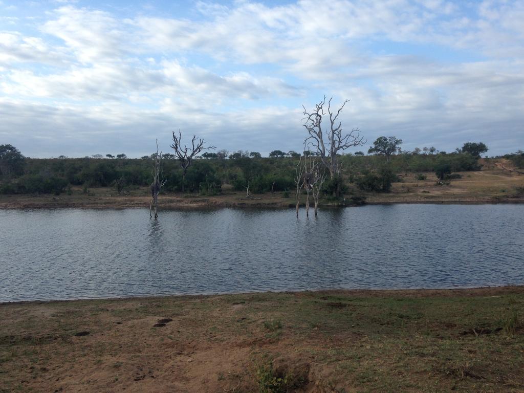 Sweni Lodge 91 Mjejane Kruger Park Hectorspruit Kültér fotó